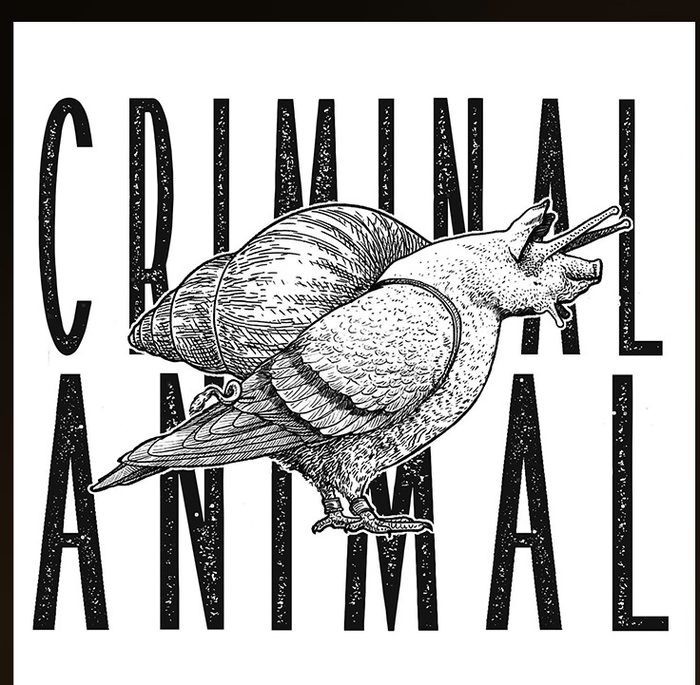 EP Criminal Animal (2020)